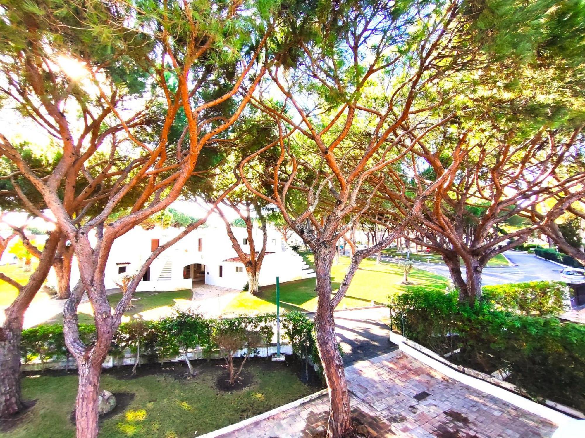 Albufeira Acoteias Villa With Pool By Homing Eksteriør billede